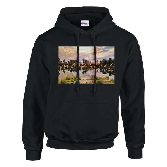 fa608a17-87ff-4344-8fc7-e722e09db8ac